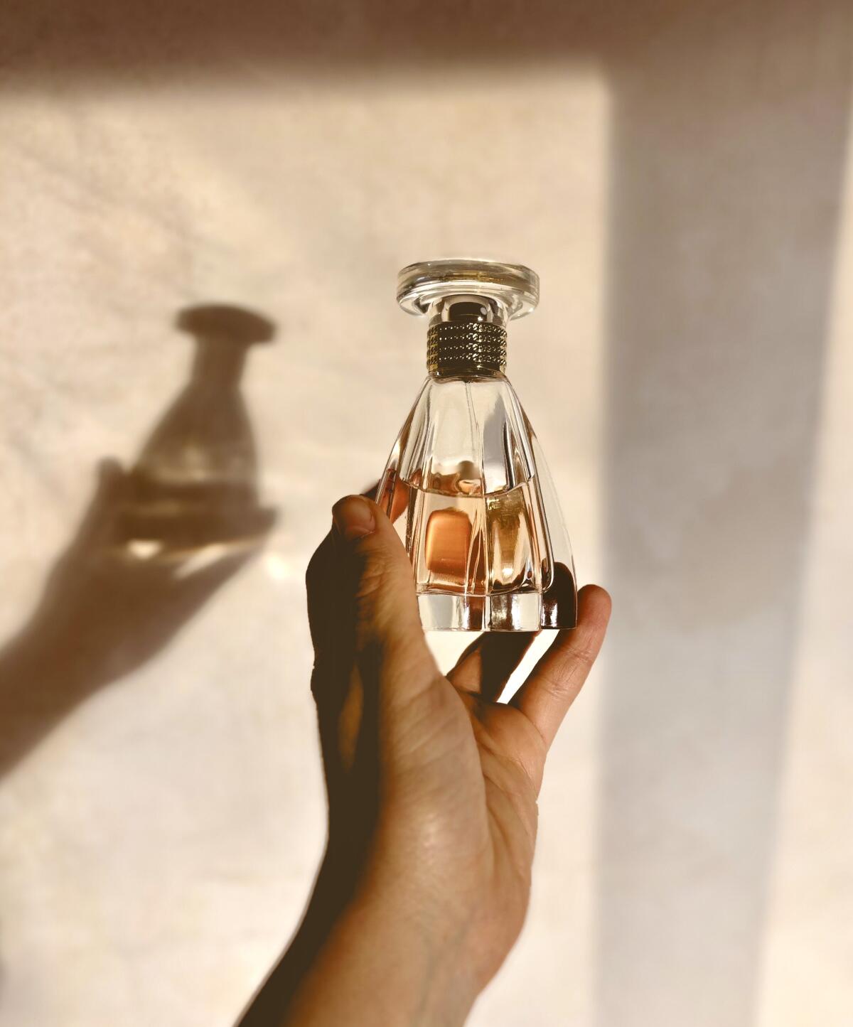 عطر ادکلن مادِرن پرینسس لنوین - Modern Princess Lanvin - بررسی، قیمت و خرید