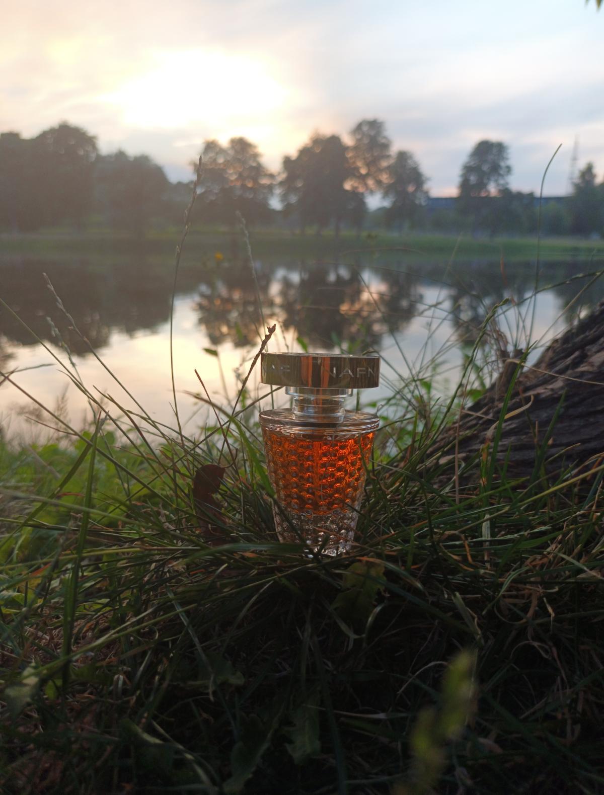 عطر ادکلن نف نف نفنف - NafNaf NafNaf - بررسی، قیمت و خرید