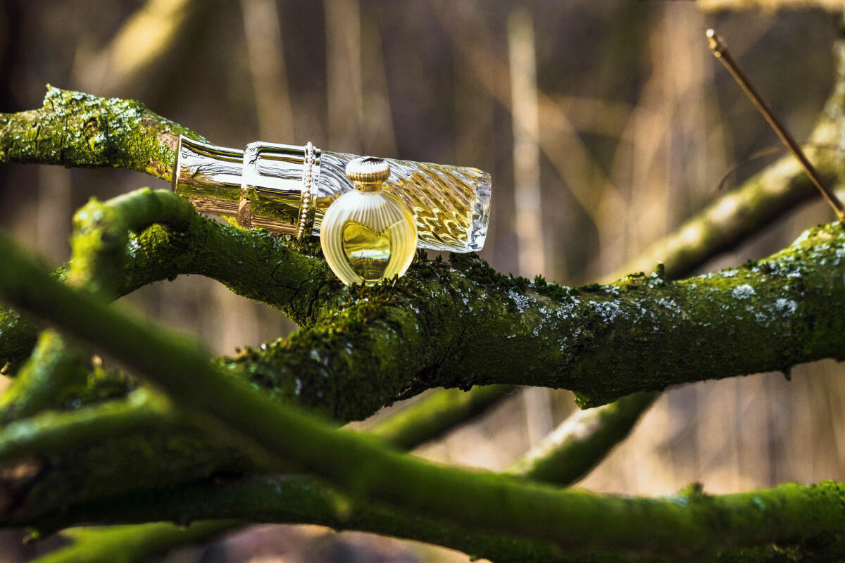 عطر ادکلن نینا نینا ریچی - Nina (1987) Nina Ricci - بررسی، قیمت و خرید