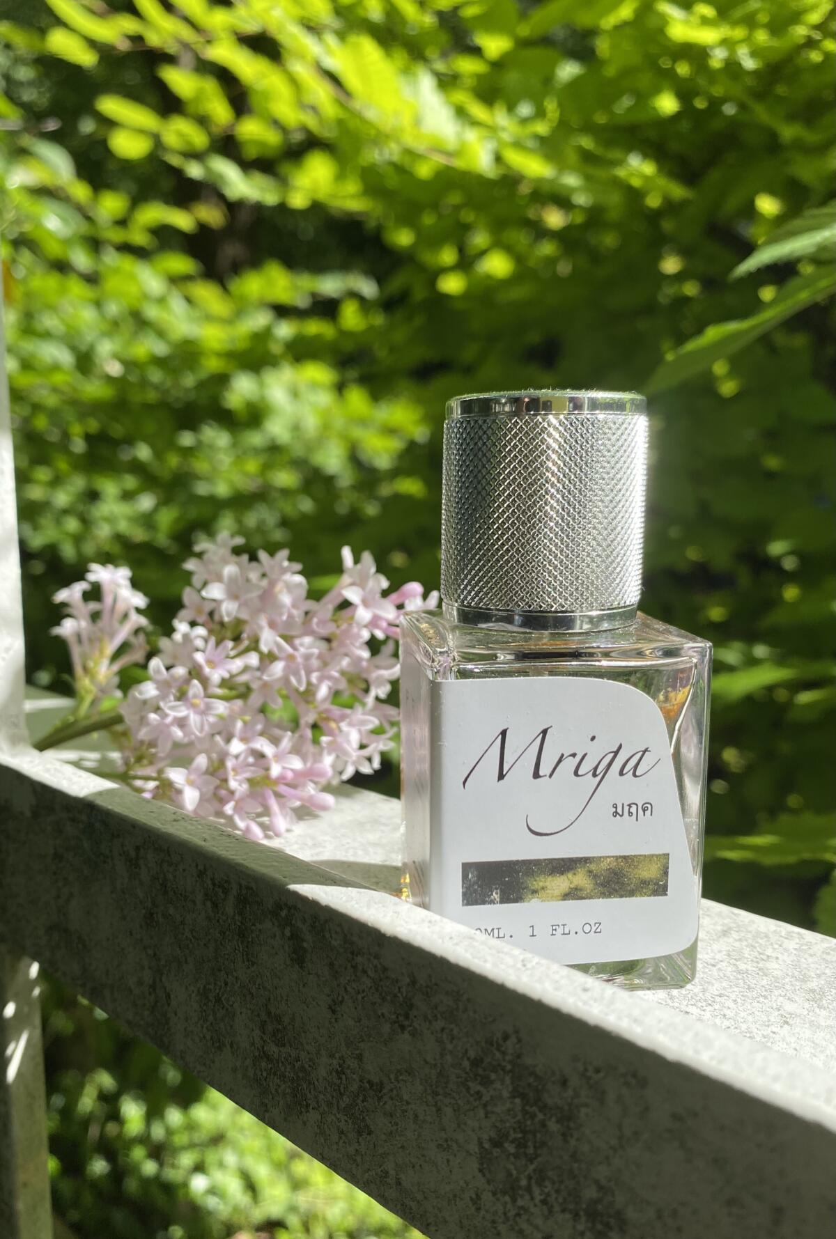 عطر ادکلن میگا پرین - Mriga Prin - بررسی، قیمت و خرید