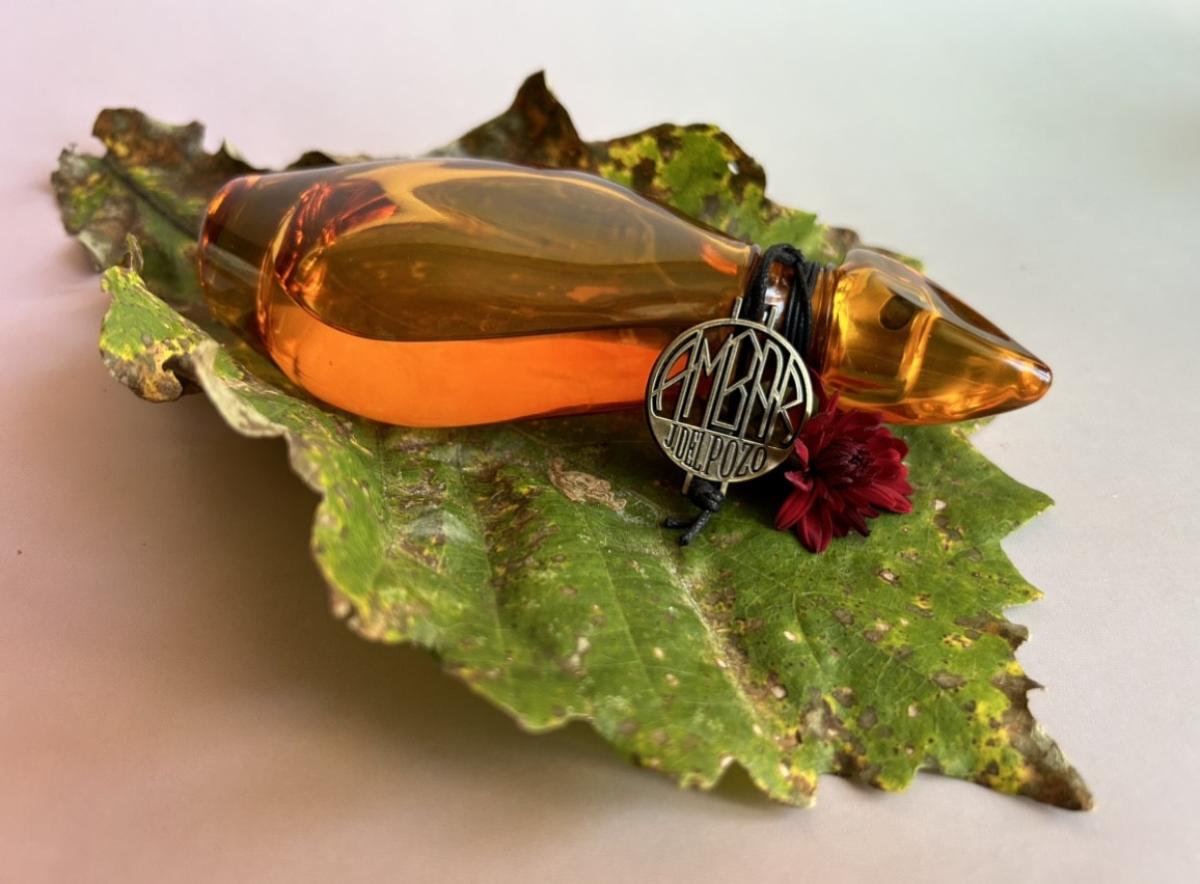 عطر ادکلن امبر جیسیس دل پوزو - Ambar Jesus Del Pozo - بررسی، قیمت و خرید