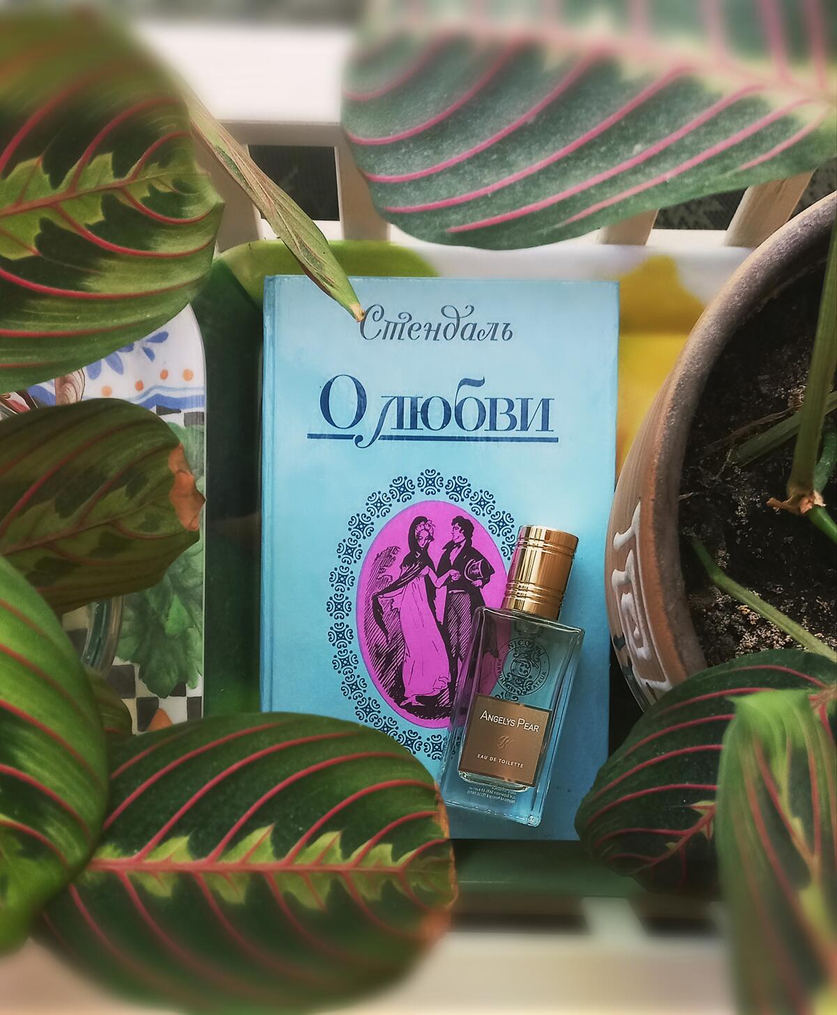 عطر ادکلن انجلیس پیر نیکولای پارفومر کریتور - Angelys Pear Nicolai Parfumeur Createur - بررسی، قیمت و خرید