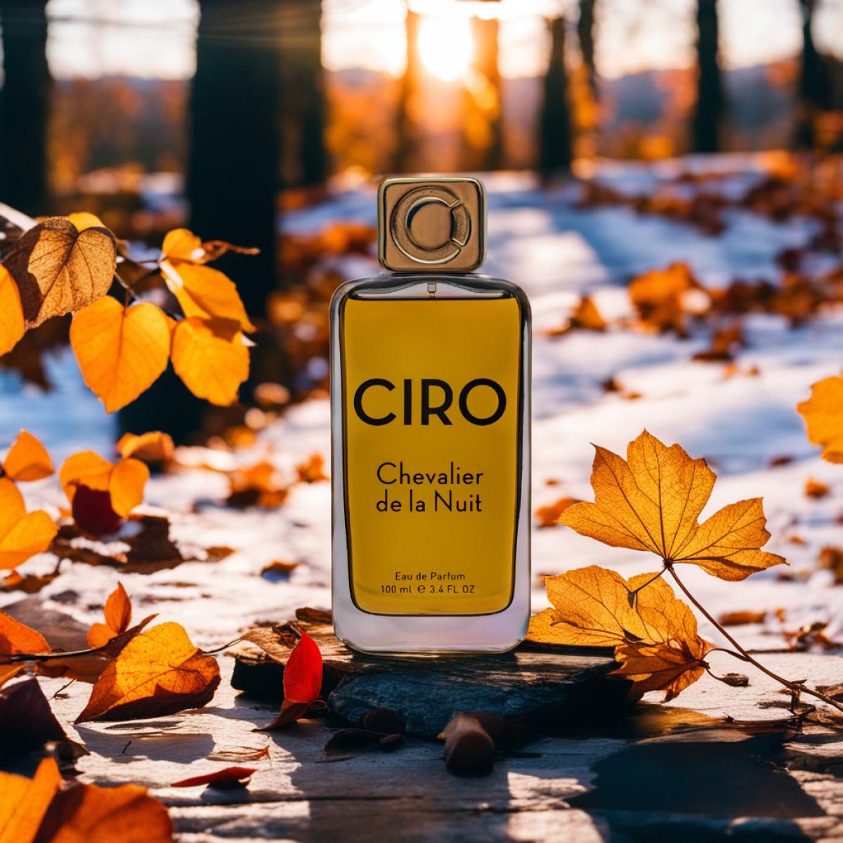 عطر ادکلن شوالیه د لا نویت پرفیومز سیرو - Chevalier De La Nuit Parfums Ciro - بررسی، قیمت و خرید