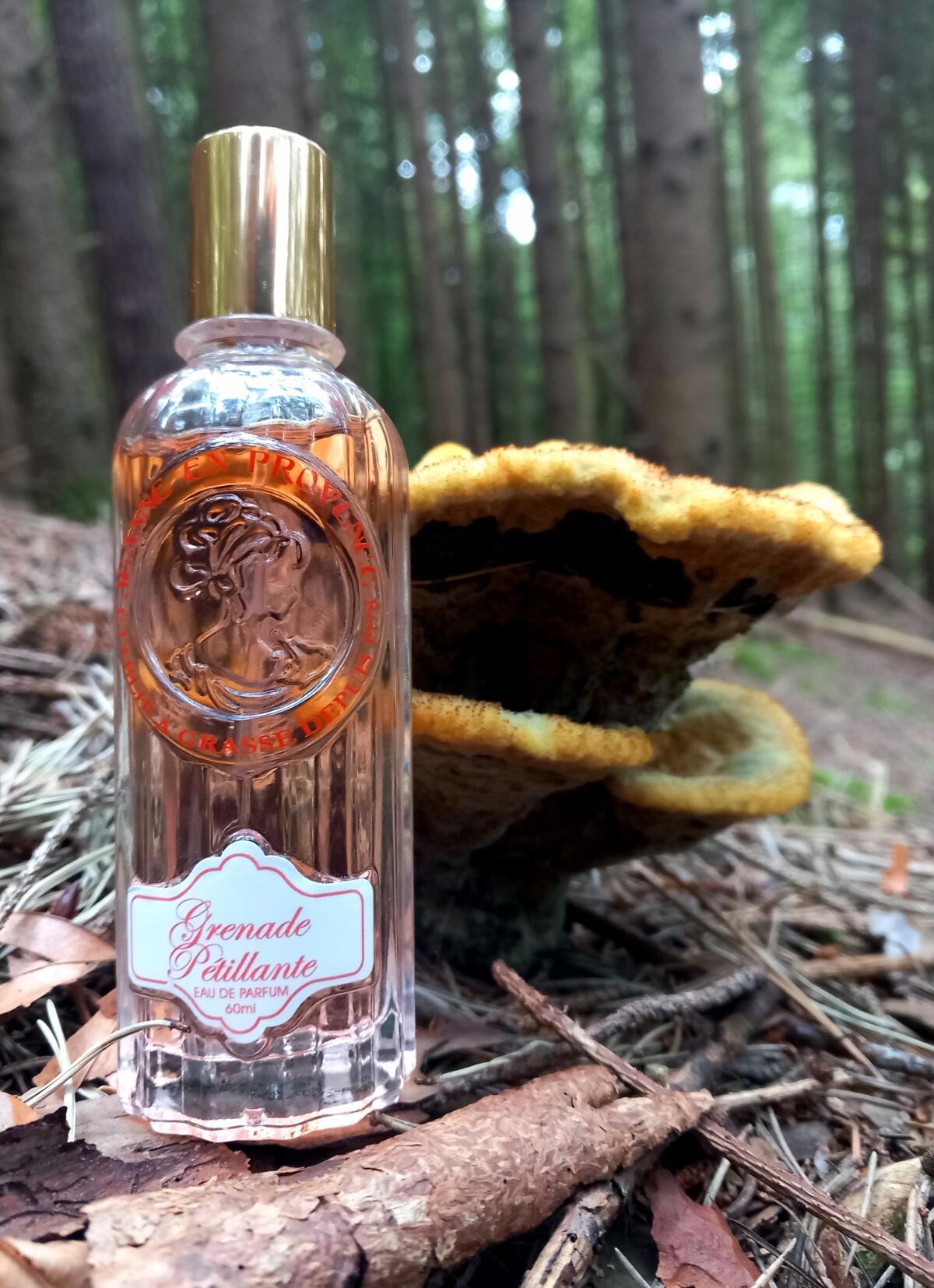 عطر ادکلن گرناد پتیلانت ژان اَن پرووانس - Grenade Petillante Jeanne en Provence - بررسی، قیمت و خرید