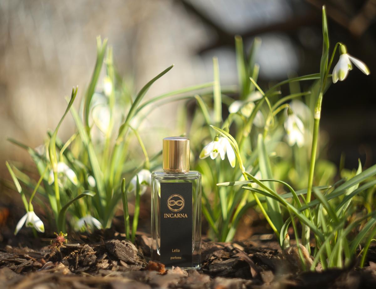 عطر ادکلن لیلیا اینکارنا پارفومز - Lelia Incarna parfums - بررسی، قیمت و خرید