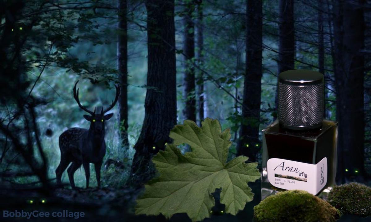 عطر ادکلن آران پرین - Aran Prin - بررسی، قیمت و خرید