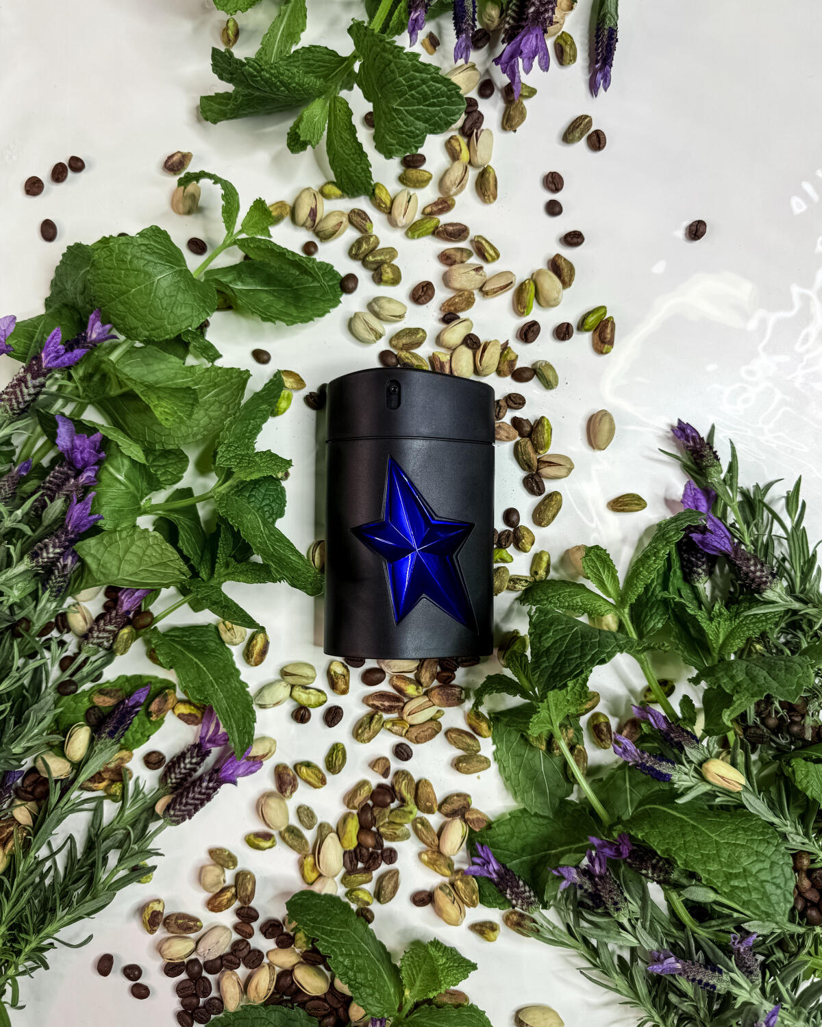 عطر ادکلن ای من استلار موگلر - A*Men Stellar Mugler - بررسی، قیمت و خرید