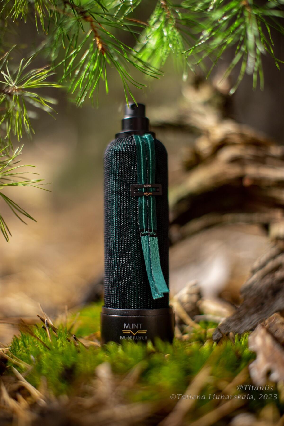 عطر ادکلن تری دی سنت اِم اینت - 3-D Scent M.INT - بررسی، قیمت و خرید