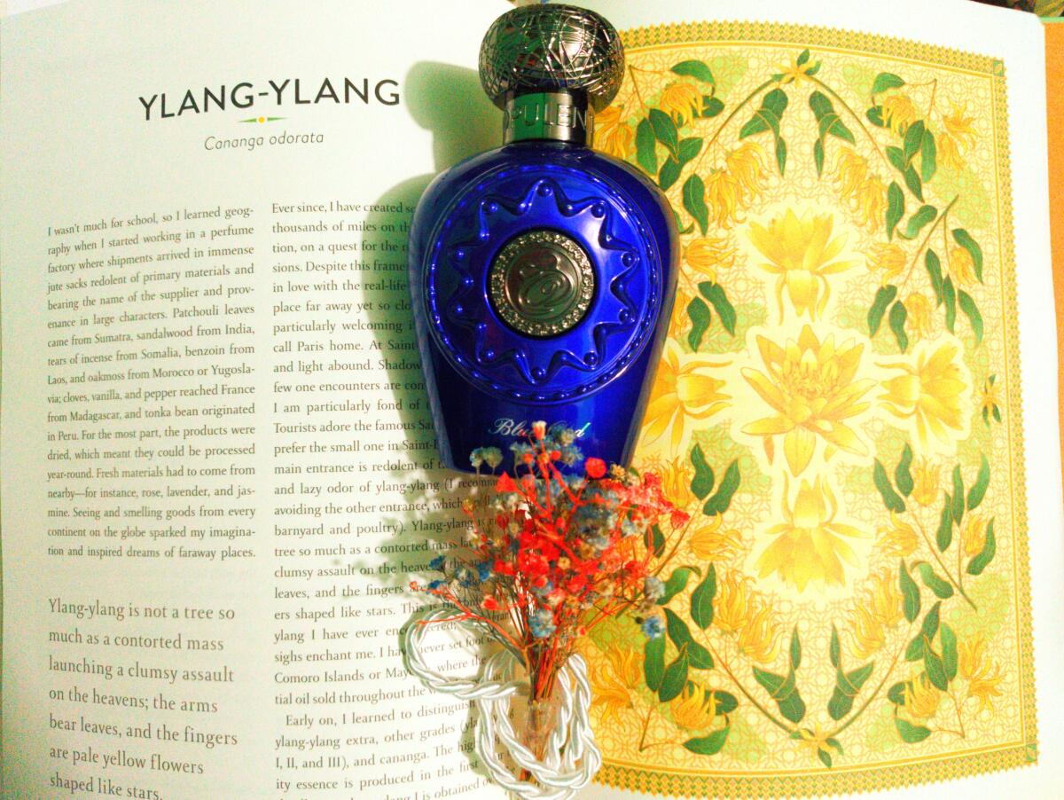 عطر ادکلن بلو عود لتافا پرفیومز - Blue Oud Lattafa Perfumes - بررسی، قیمت و خرید