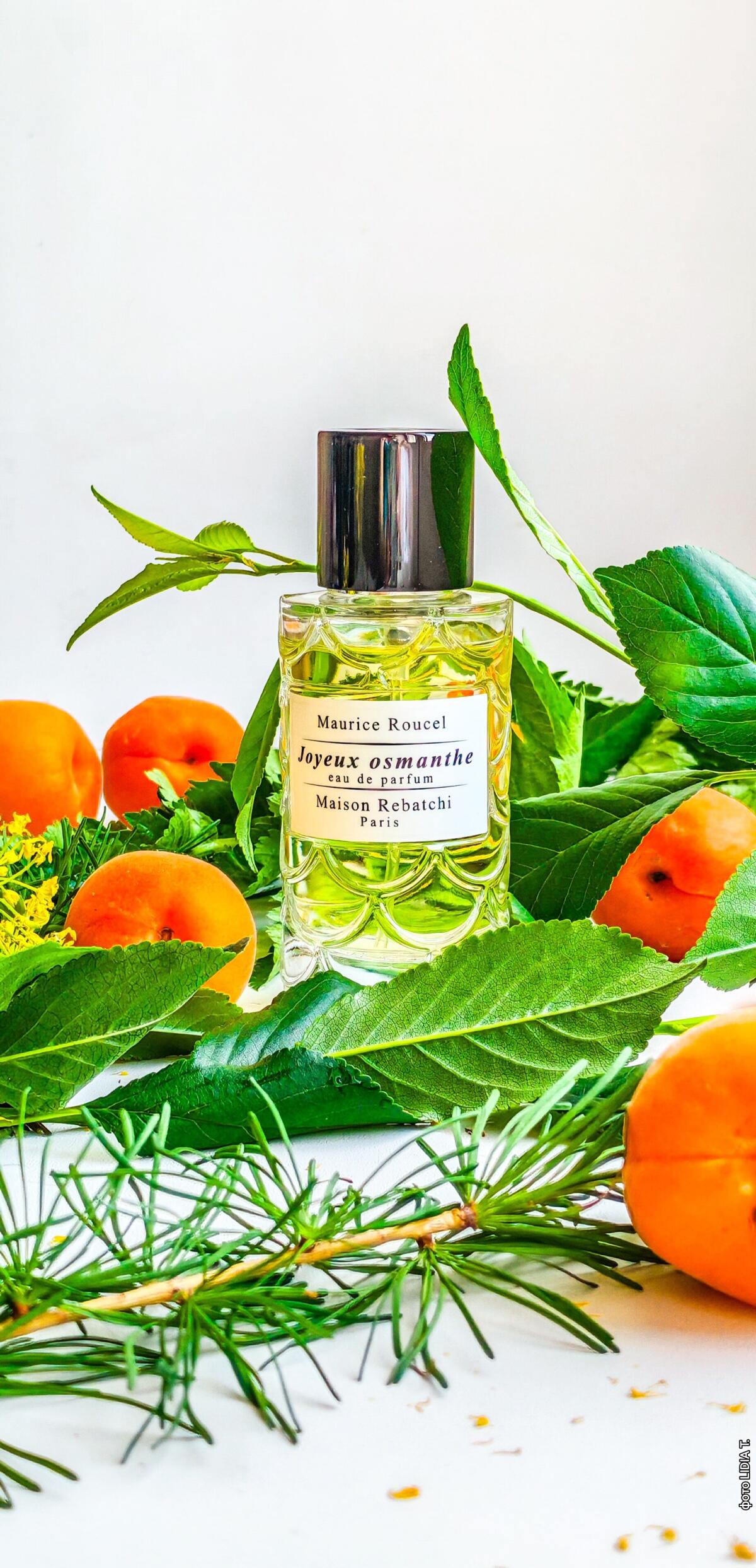 عطر ادکلن ژوویو اُسمانت میسون رباشی - Joyeux Osmanthe Maison Rebatchi - بررسی، قیمت و خرید