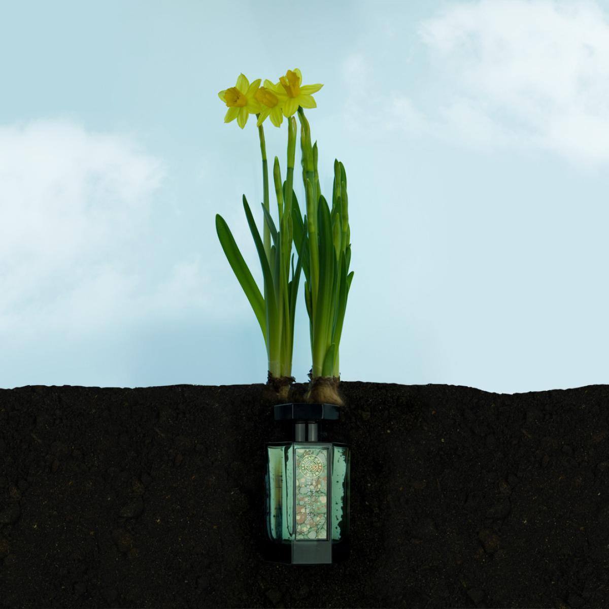 عطر ادکلن موند دِ نارسيس لرتیزان پرفیومر - Mont de Narcisse L'Artisan Parfumeur - بررسی، قیمت و خرید