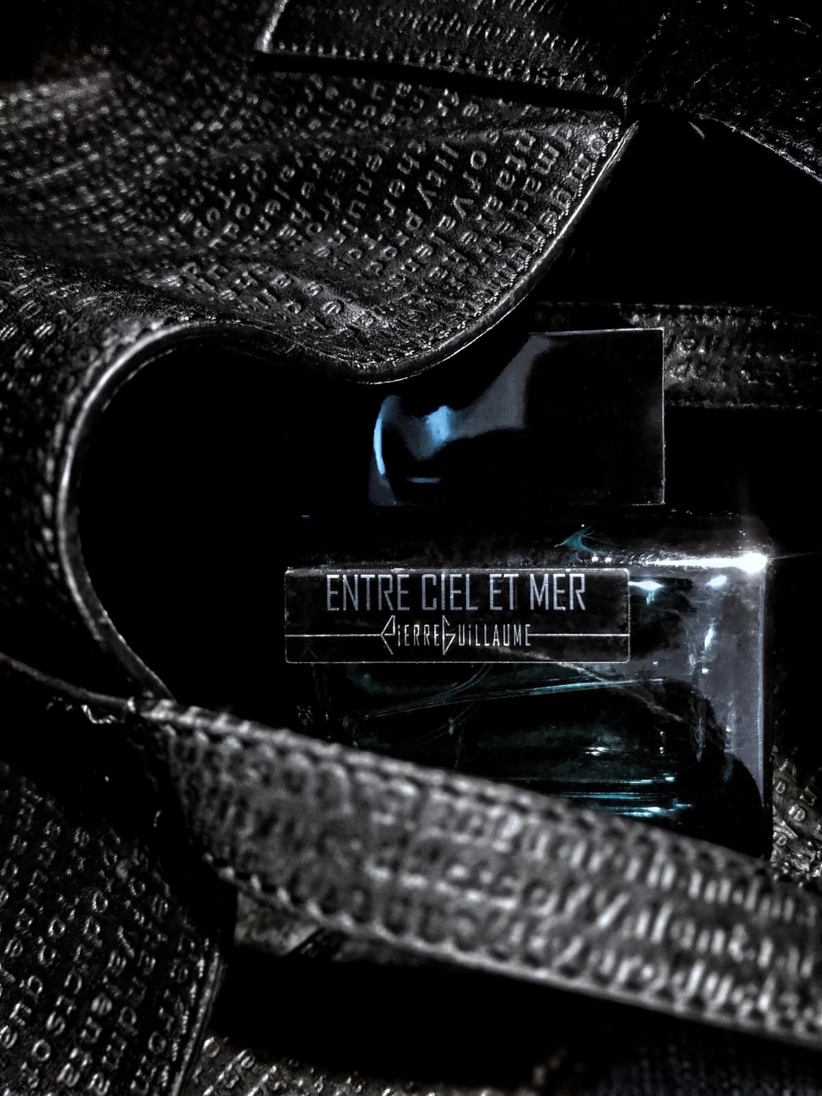 عطر ادکلن آنتر سیل اِ مِر پیر گیوم پاریس - Entre Ciel et Mer Pierre Guillaume Paris - بررسی، قیمت و خرید