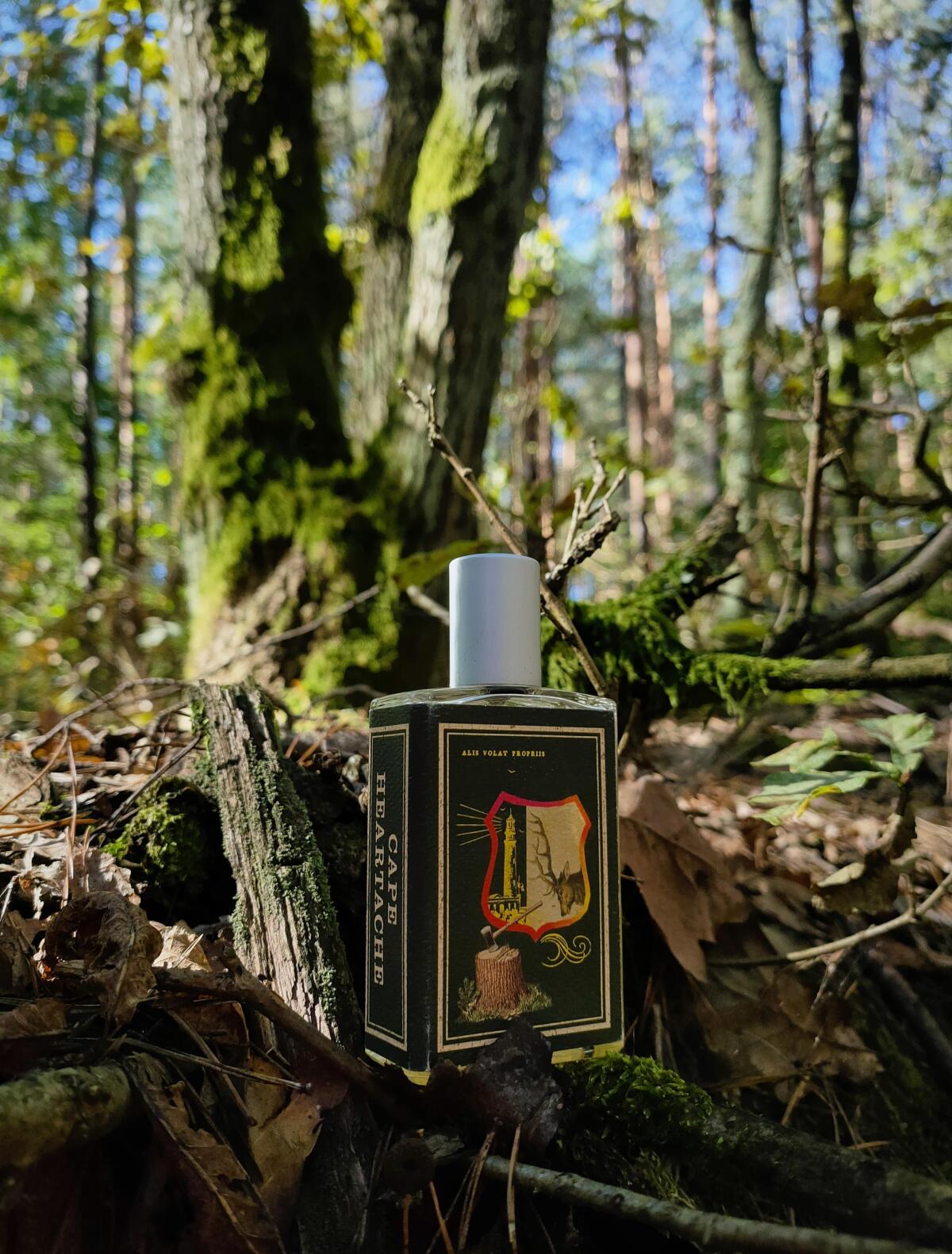 عطر ادکلن کیپ هارتیک ایمجینری آثرز - Cape Heartache Imaginary Authors - بررسی، قیمت و خرید