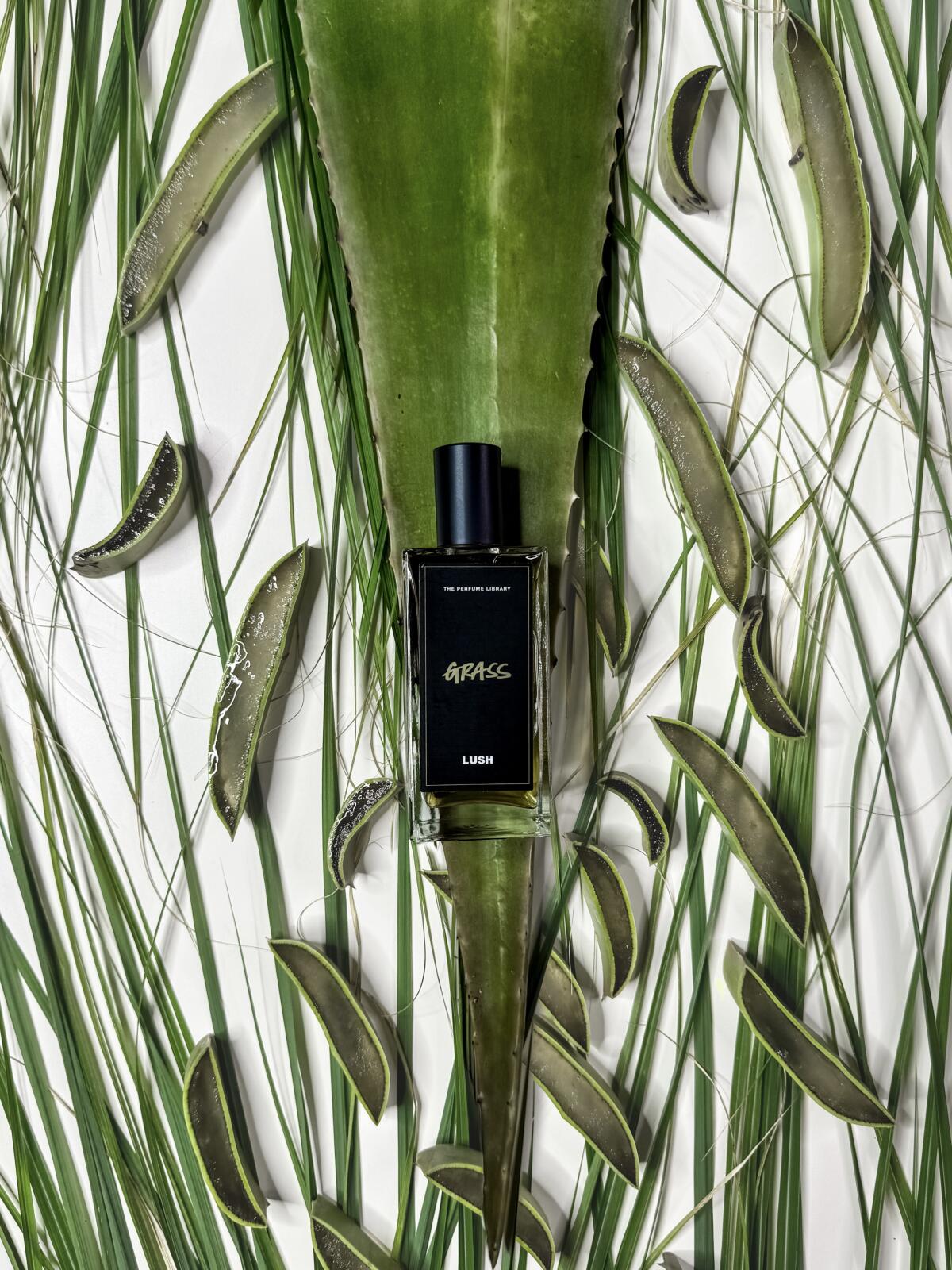 عطر ادکلن گِرَس لاش - Grass Lush - بررسی، قیمت و خرید
