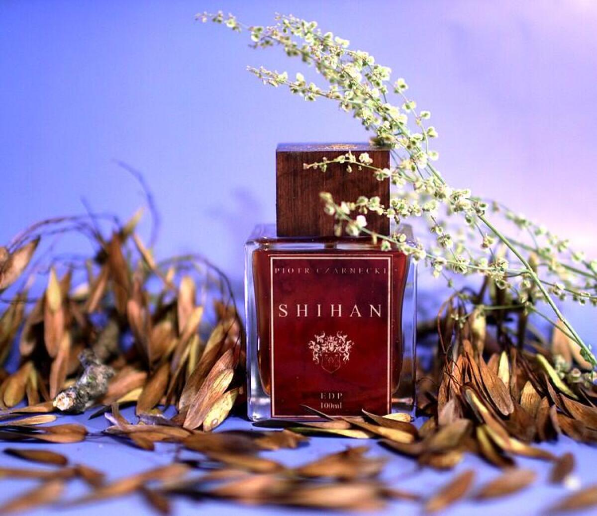 عطر ادکلن شی شیهان پیوتر چارنکی - She Shihan (She Sensei) Piotr Czarnecki - بررسی، قیمت و خرید