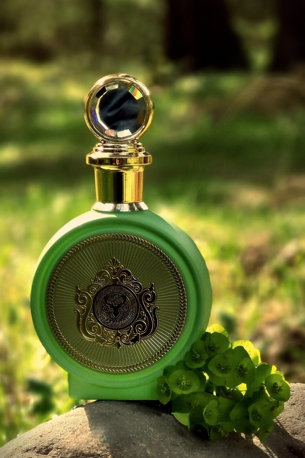 عطر ادکلن نورث استگ اکسپرشنز سه تروا پاریس کورنر - North Stag Expressions III Trois PARIS CORNER - بررسی، قیمت و خرید