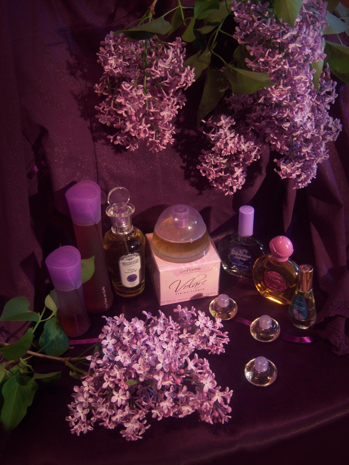 عطر ادکلن وولاره ویستریا اوریفلیم - Volare Wisteria Oriflame - بررسی، قیمت و خرید