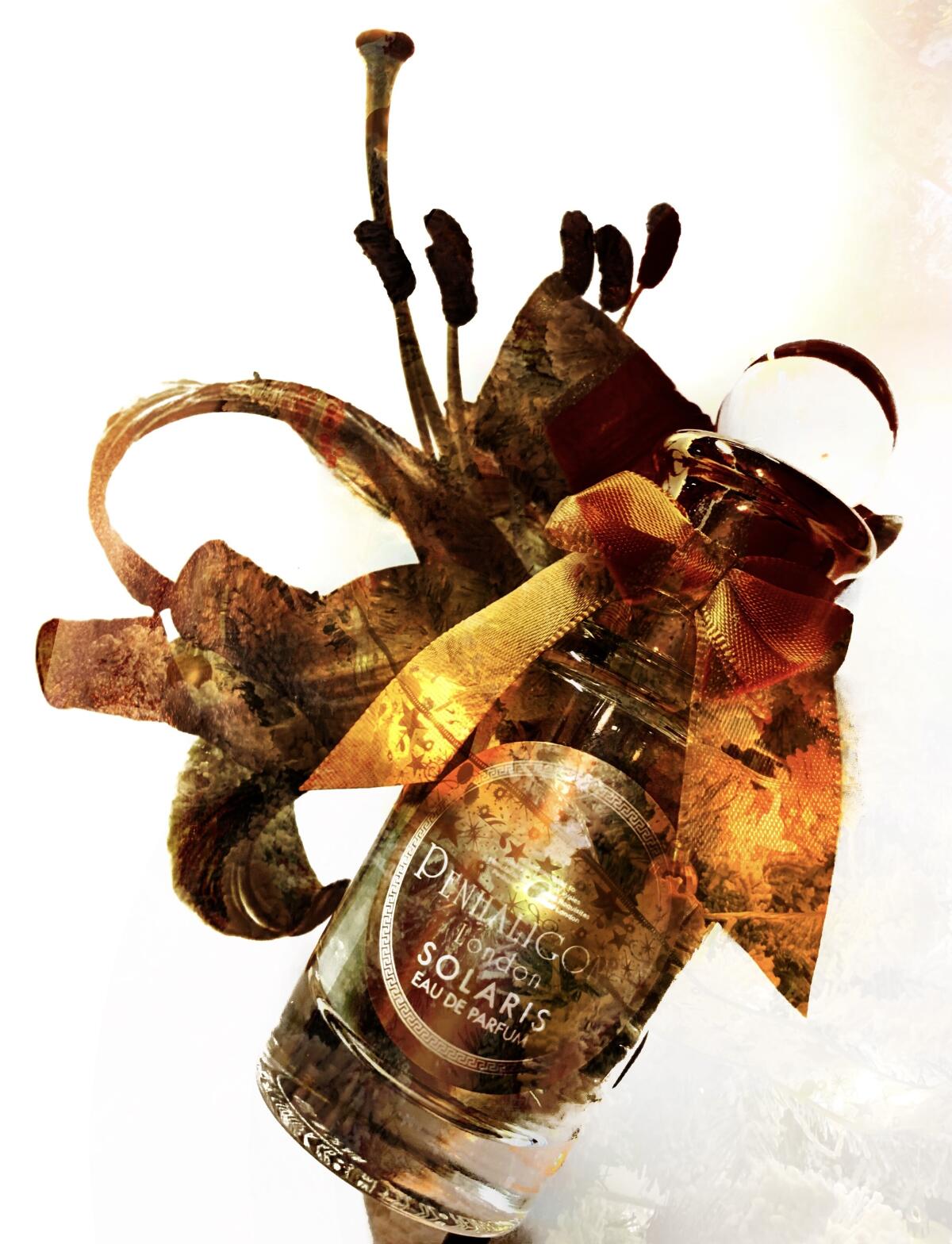 عطر ادکلن سولاریس پنها لیگونز - Solaris Penhaligon's - بررسی، قیمت و خرید