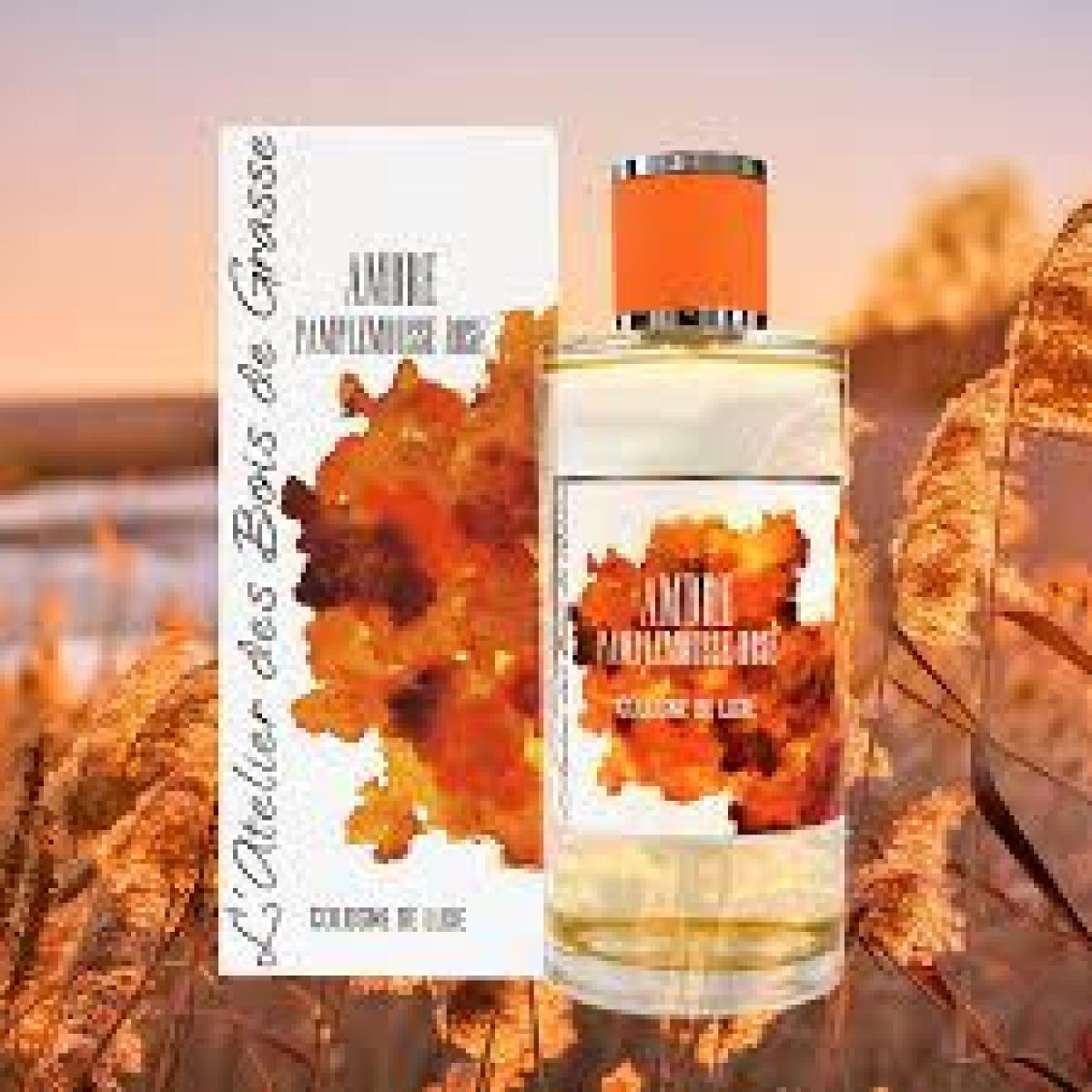 عطر ادکلن آمبره پامپل موس رز لاتلیه د بوا د گراس - Ambre Pamplemousse Rose L'Atelier des Bois de Grasse - بررسی، قیمت و خرید