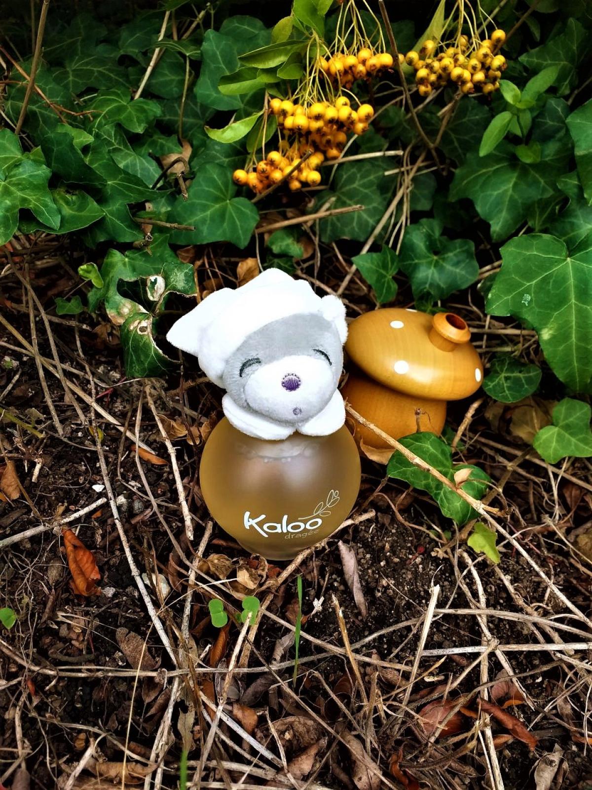 عطر ادکلن دراژه کالو - Dragee Kaloo - بررسی، قیمت و خرید