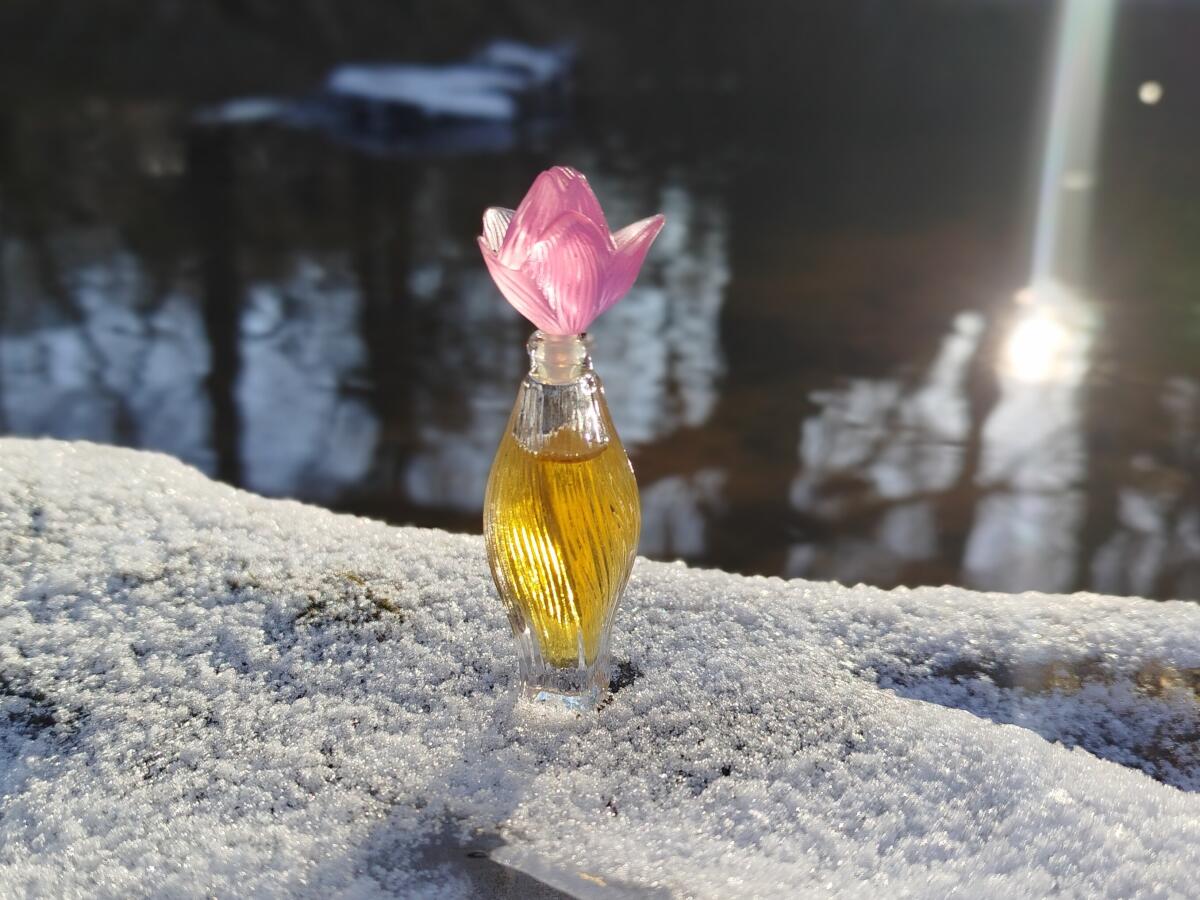 عطر ادکلن نیلانگ لالیک - Nilang Lalique - بررسی، قیمت و خرید