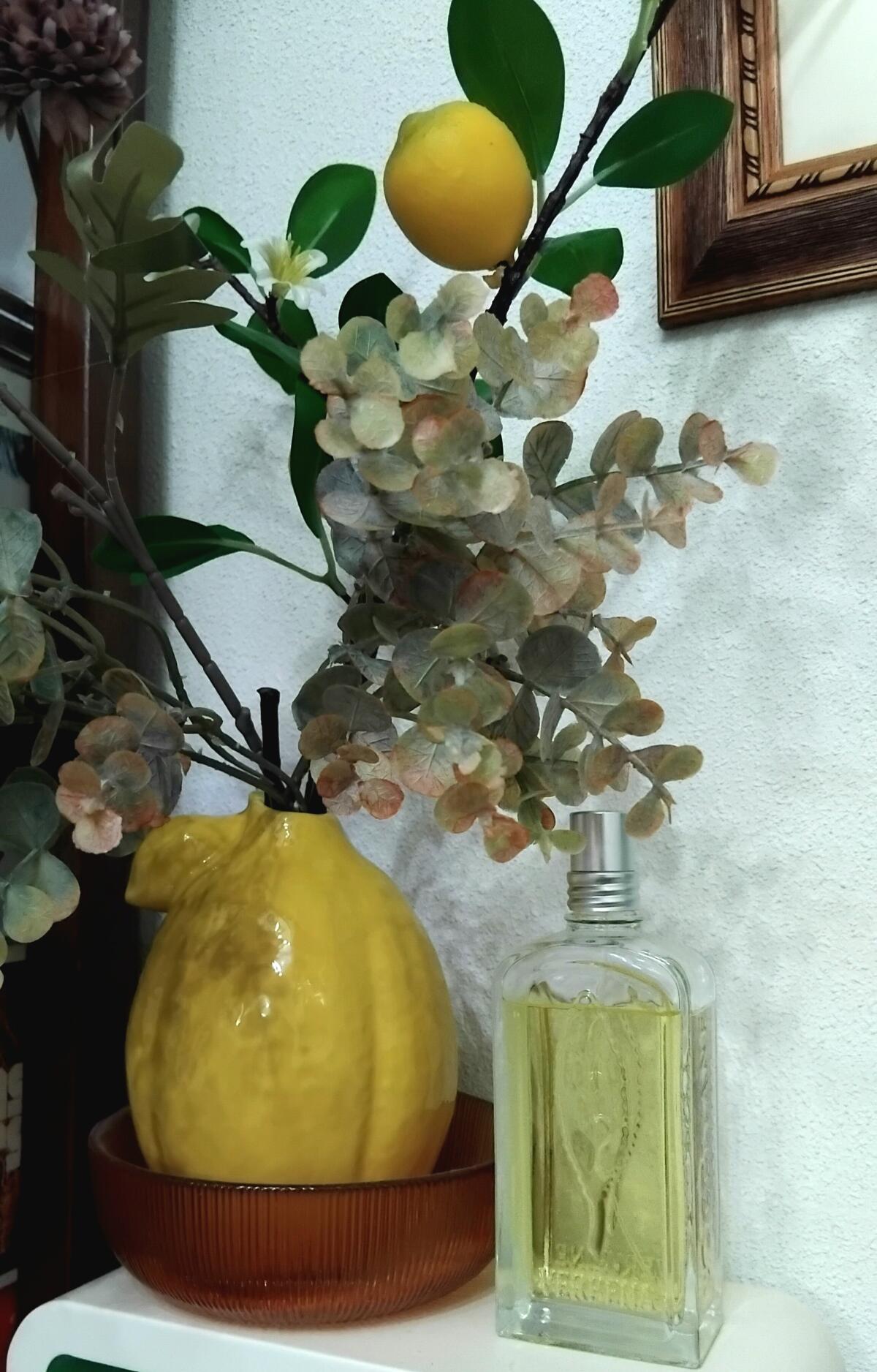 عطر ادکلن ورواين آگروم ۲۰۲۲ لوکسیتان - Verveine Agrumes 2022 L'Occitane en Provence - بررسی، قیمت و خرید