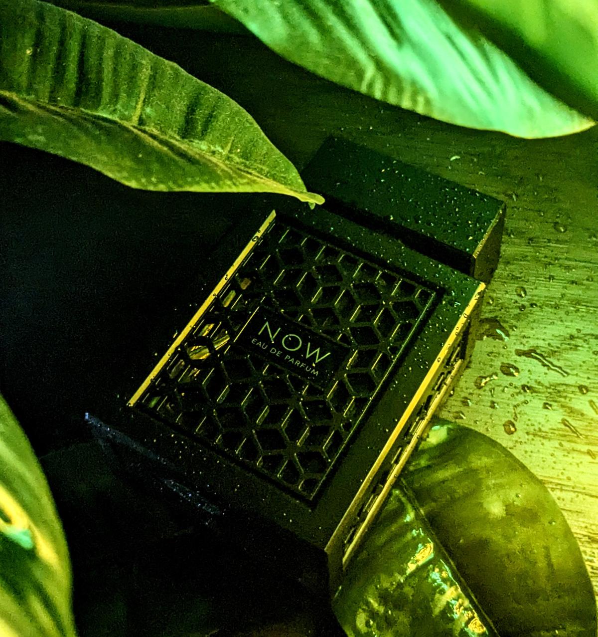 عطر ادکلن ناو ریو - Now RAVE - بررسی، قیمت و خرید