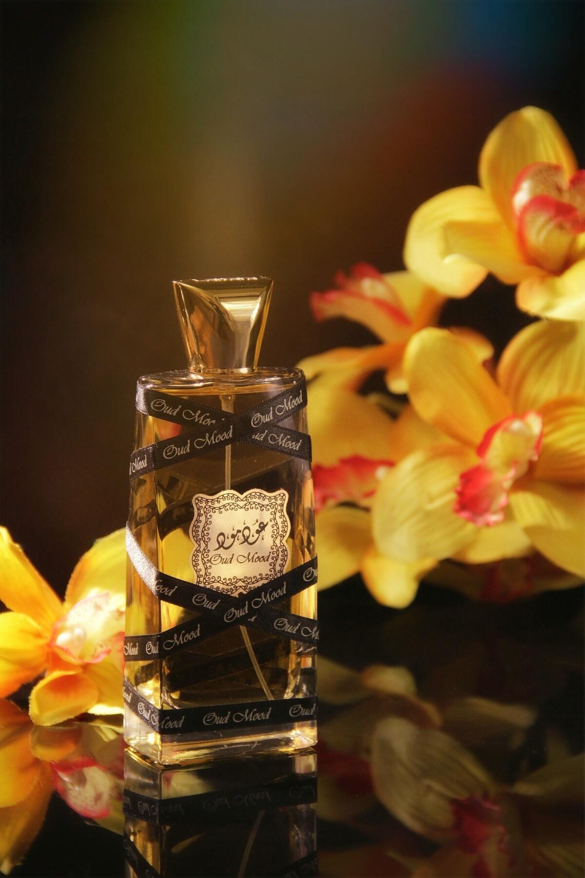 عطر ادکلن عود مود لتافا پرفیومز - Oud Mood Lattafa Perfumes - بررسی، قیمت و خرید