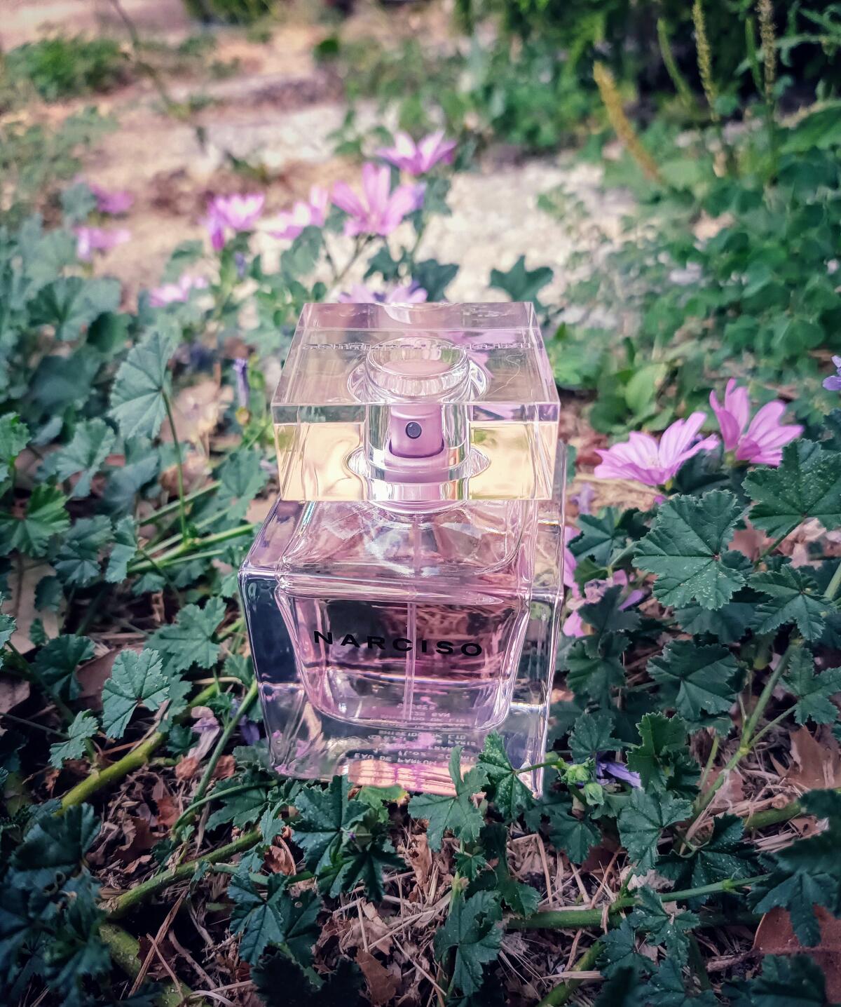عطر ادکلن نارسيسو او دو پرفيوم راديانته نارسیسو رودریگز - Narciso Eau de Parfum Radiante Narciso Rodriguez - بررسی، قیمت و خرید
