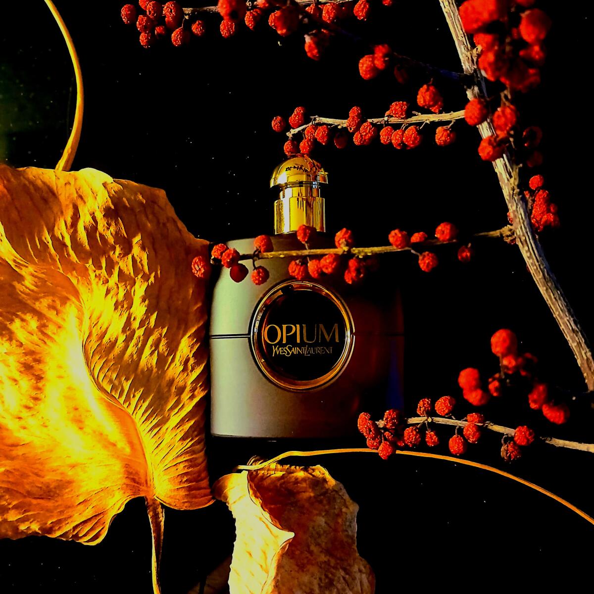 عطر ادکلن اوپیوم او دو پرفیوم دوهزار و نه ایو سن لورن - Opium Eau de Parfum 2009 Yves Saint Laurent - بررسی، قیمت و خرید