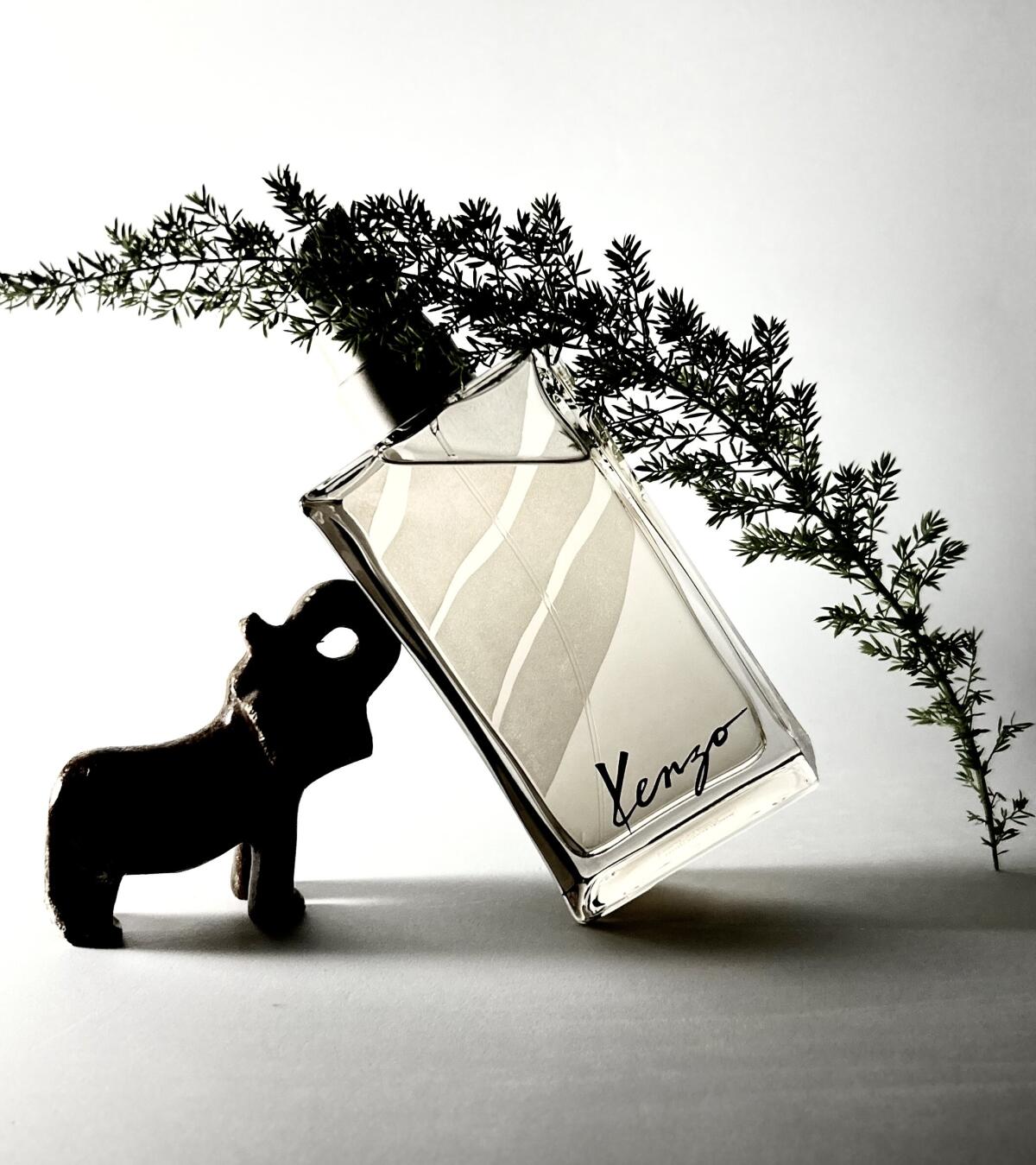 عطر ادکلن کنزو جانگل هوم کنزو - Kenzo Jungle Homme Kenzo - بررسی، قیمت و خرید