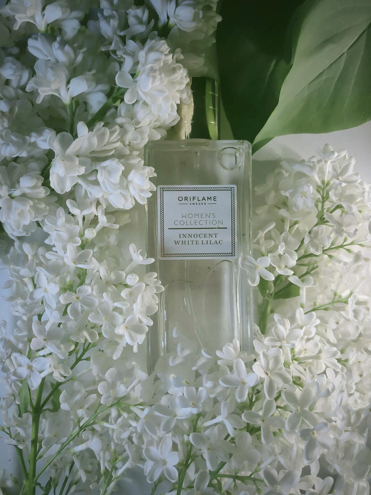 عطر ادکلن اینسنت وایت لیلک اوریفلیم - Innocent White Lilac Oriflame - بررسی، قیمت و خرید