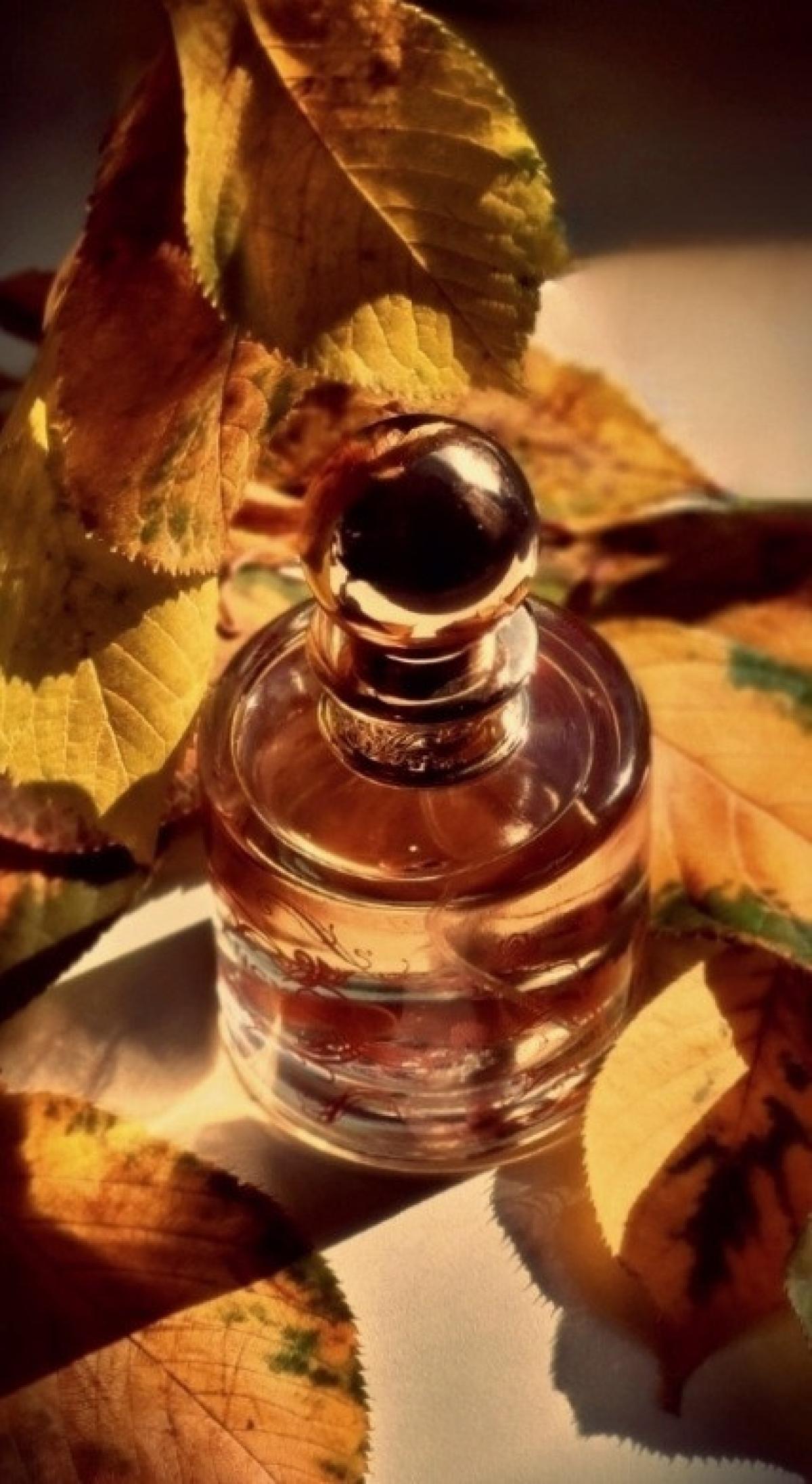 عطر ادکلن فَنسی جسیکا سیمپسون - Fancy Jessica Simpson - بررسی، قیمت و خرید