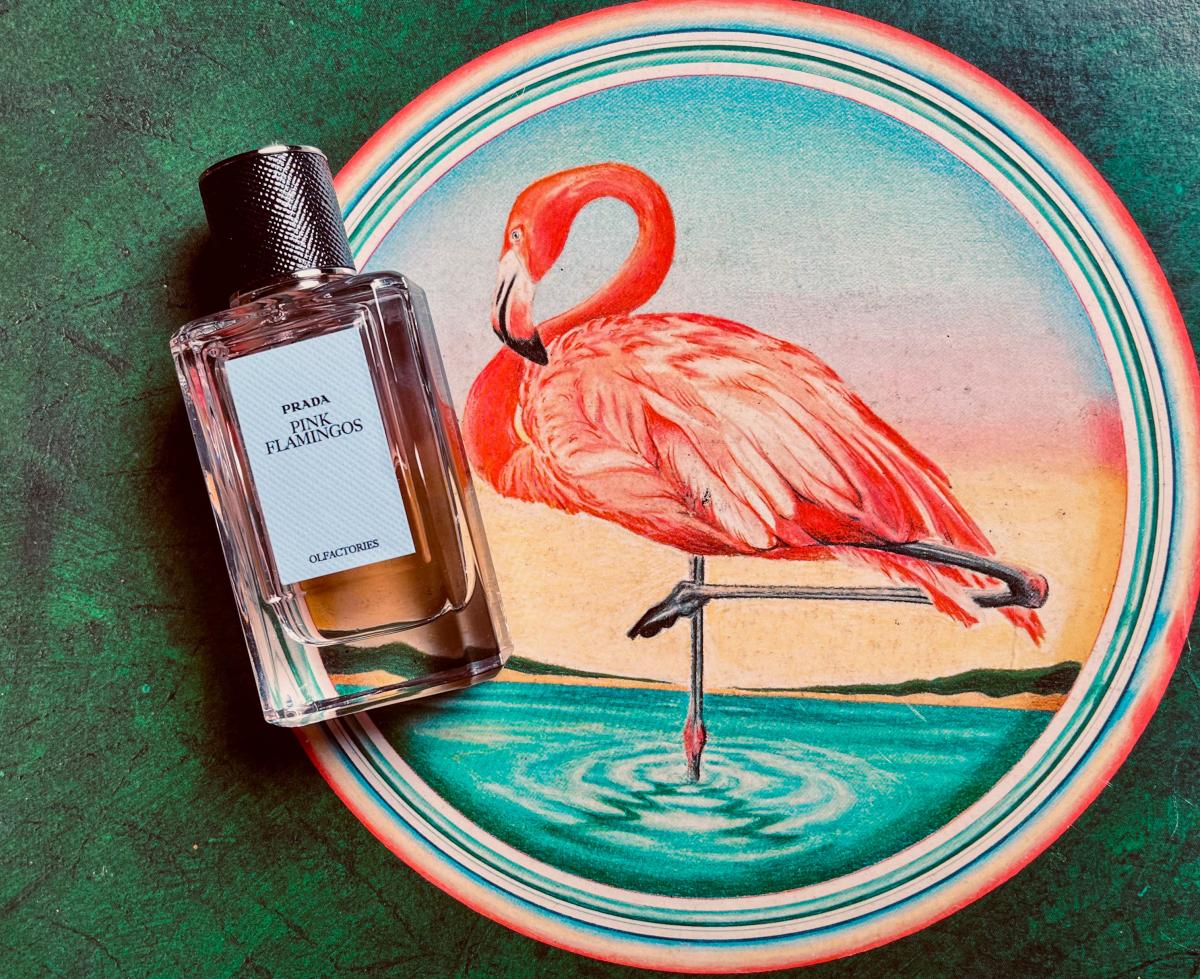 عطر ادکلن پینک فلامینگو پرادا - Pink Flamingos Prada - بررسی، قیمت و خرید