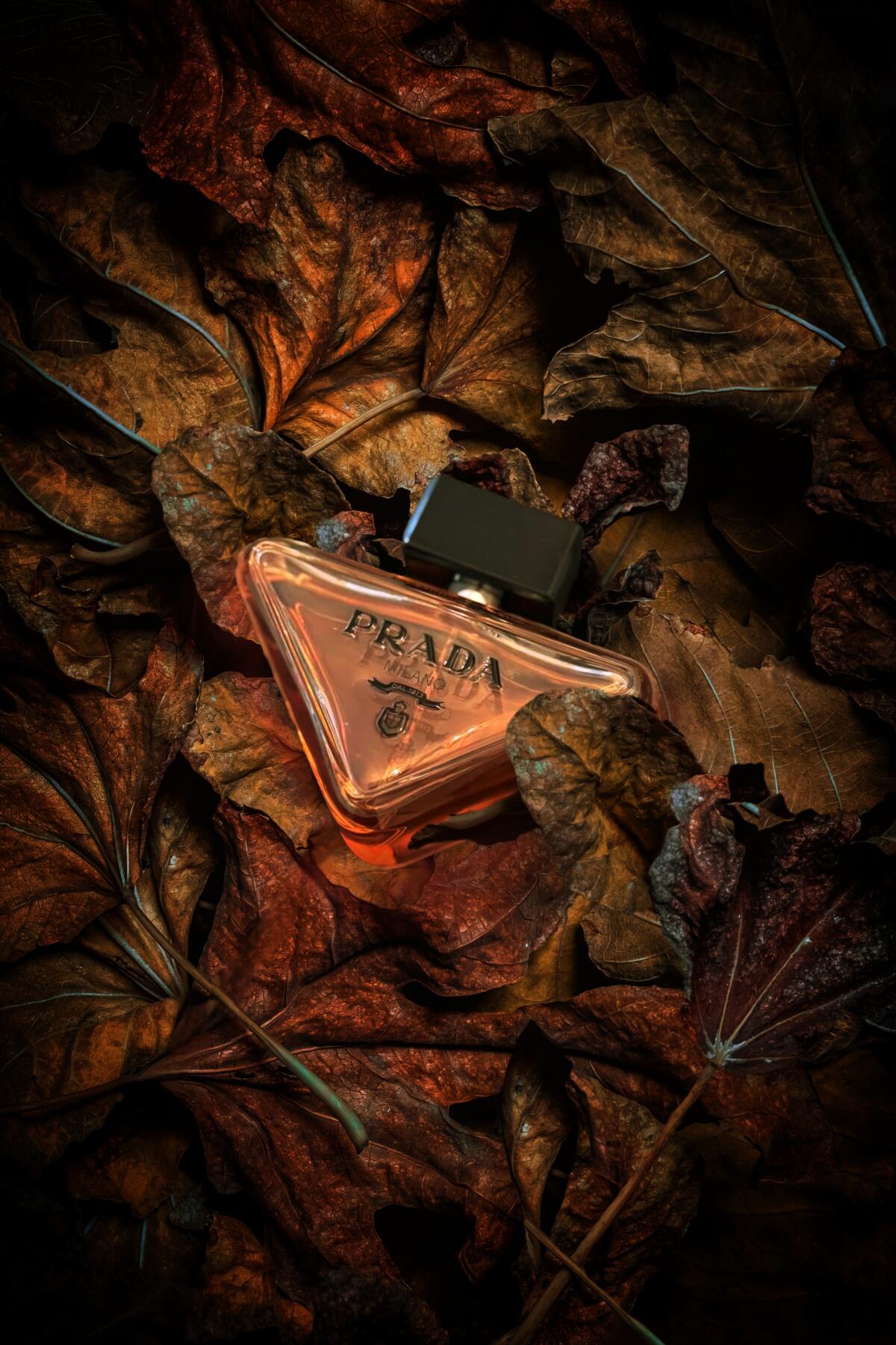 عطر ادکلن پرادا پارادوکس پرادا - Prada Paradoxe Prada - بررسی، قیمت و خرید