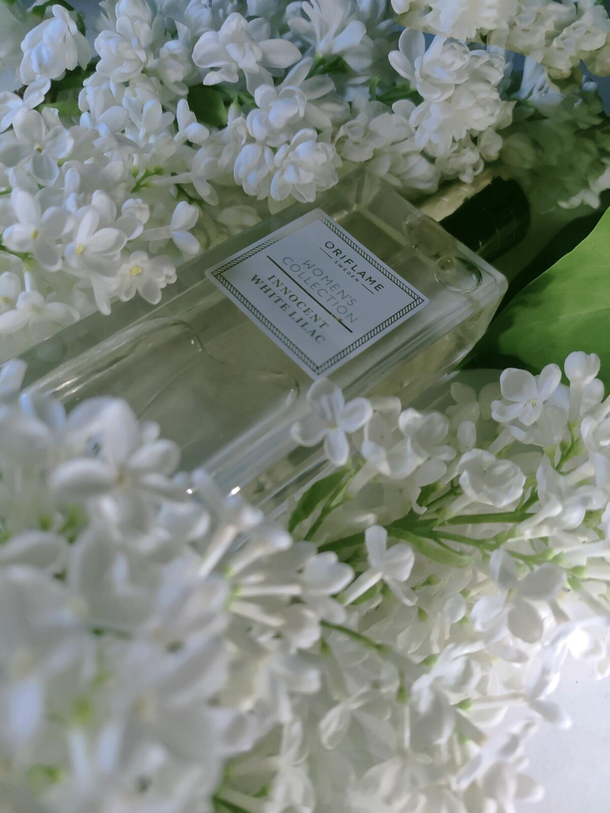عطر ادکلن اینسنت وایت لیلک اوریفلیم - Innocent White Lilac Oriflame - بررسی، قیمت و خرید
