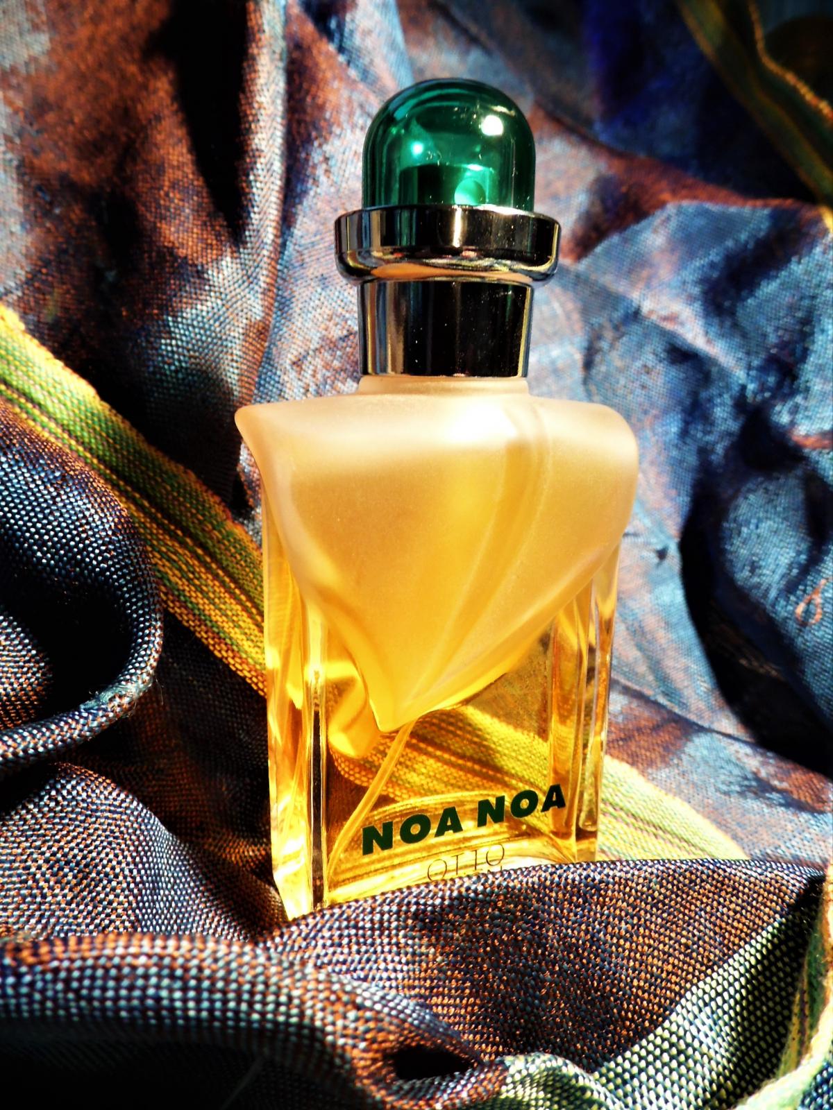 عطر ادکلن نوا نوا اوتو کرن - Noa Noa Otto Kern - بررسی، قیمت و خرید