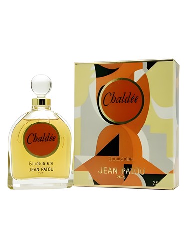 عطر ادکلن کالدی ژان پاتو - Chaldee Jean Patou - بررسی، قیمت و خرید