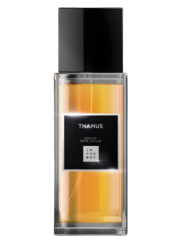 عطر ادکلن تاموس این ذ باکس - Thamus In The Box - بررسی، قیمت و خرید
