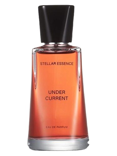 عطر ادکلن آندِرکرِنت استلار اسنس - Undercurrent Stellar Essence - بررسی، قیمت و خرید