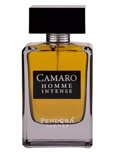 عطر ادکلن کامارو هوم اینتنس پندورا سنتس - Camaro Homme Intense Pendora Scents - بررسی، قیمت و خرید