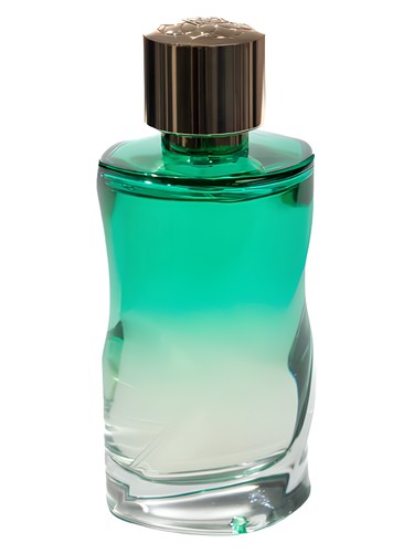 عطر ادکلن مونته‌ور نوس پارفوم - Montever Nous Parfums - بررسی، قیمت و خرید