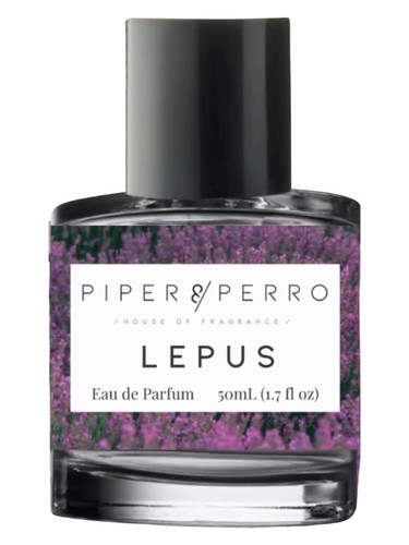 عطر ادکلن لپوس پایپر اند پرو - Lepus Piper & Perro - بررسی، قیمت و خرید