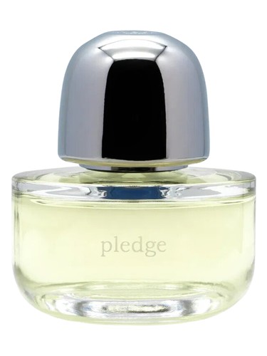 عطر ادکلن پلیج کیلِسا - Pleage Kilesa - بررسی، قیمت و خرید