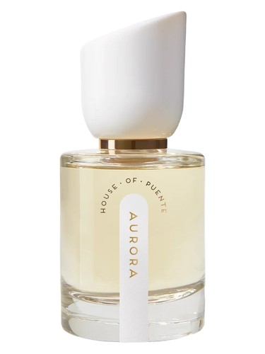 عطر ادکلن آرورا هاوس آو پونته - Aurora House of Puente - بررسی، قیمت و خرید