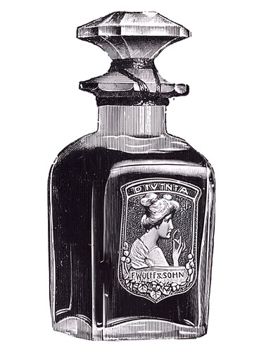 عطر ادکلن دی‌وینیا ف. وُلف و زون - Divinia F. Wolff & Sohn - بررسی، قیمت و خرید