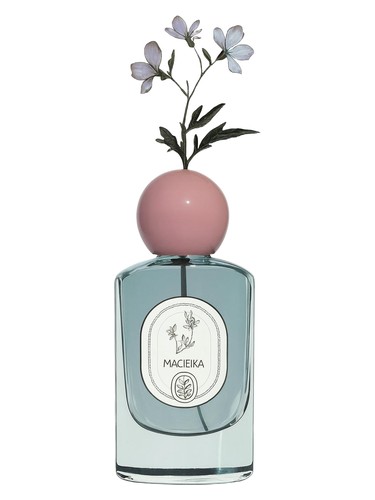 عطر ادکلن ماچییکا پرفیوم کرافت - Maciejka PerfumeCraft - بررسی، قیمت و خرید
