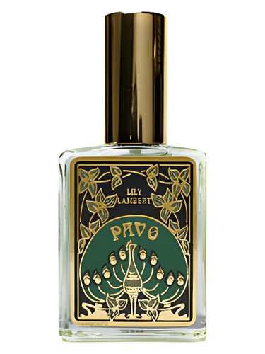 عطر ادکلن پاوو لیلی لمبرت - Pavo Lily Lambert - بررسی، قیمت و خرید