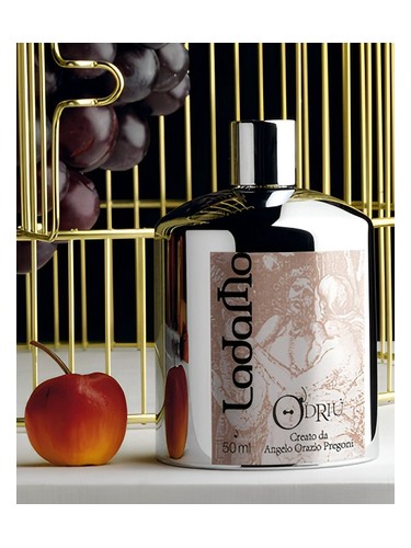 عطر ادکلن لدامو اودریو - Ladamo O'Driu - بررسی، قیمت و خرید