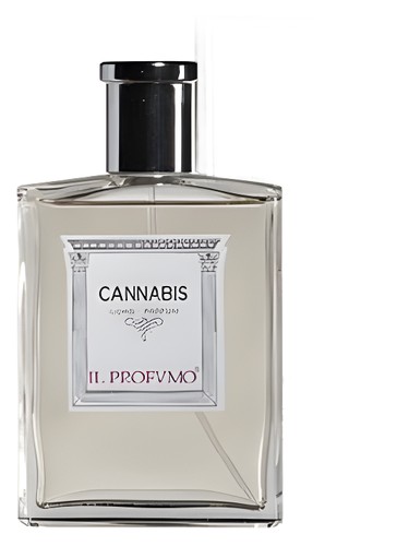 عطر ادکلن اُسْمُو سِنْتْس کَنْنابیس ایل پروفومو - Osmo Scents Cannabis Il Profvmo - بررسی، قیمت و خرید
